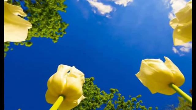 Слёзы любви смотреть онлайн