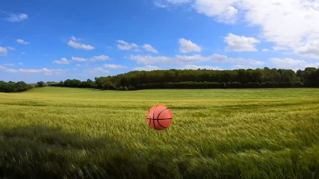 How do optical illusions work? смотреть онлайн