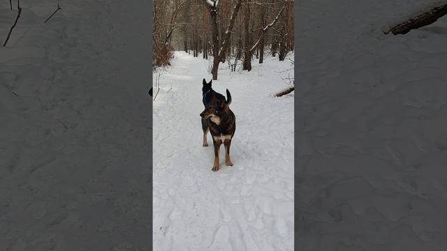 А как выглядит ваше счастье? У нас оно вот такое 😜! смотреть онлайн