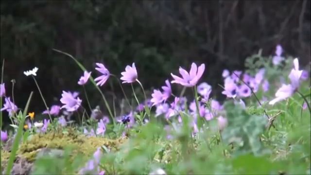 Что от вас потребуется для Перехода в Новый Мир смотреть онлайн