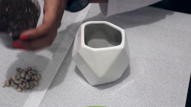 DIY Succulent Planter смотреть онлайн