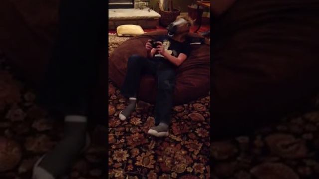 Love Sac Bean Bag Review смотреть онлайн