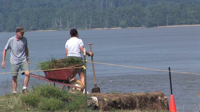 Comments from former Jamestown summer Field School students смотреть онлайн