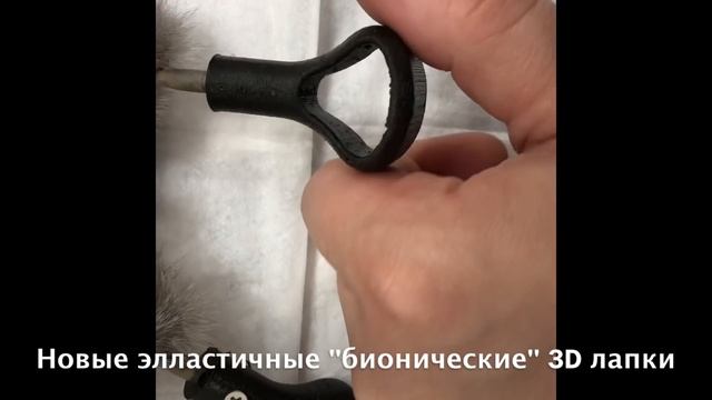 Протезирование 4-х лап у кошки после отморожения (результат через 7 месяцев) смотреть онлайн