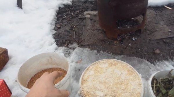 Кисель для кур.