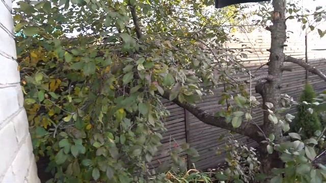 ВЫБРАЛ ПЕЧЬ / ЗАШИВАЕМ ВЕРАНДУ смотреть онлайн