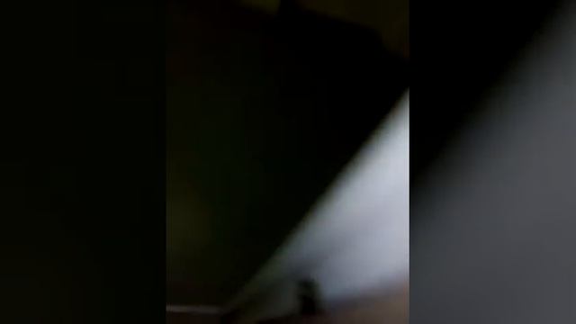 Хабаровск, 1краевая,гинекология, ужас!!! смотреть онлайн