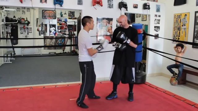 Боксерские Стратегии для Левшей смотреть онлайн