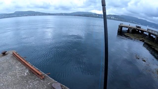 Рыбалка в Норвегии. Круговорот скумбрии в природе. Выпуск 17 смотреть онлайн