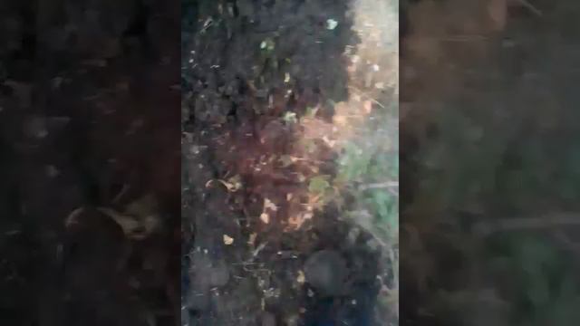 Дерьмовый прыжок в грязь лицом смотреть онлайн