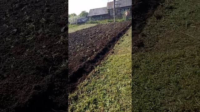 Роторный плуг в деле!!!! Десятилетия целина! смотреть онлайн