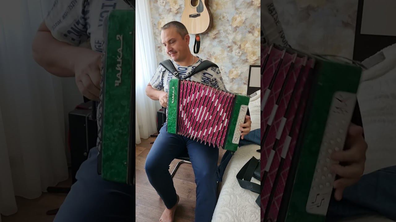 Жили у бабуси два весёлых гуся. Под гармошку#shorts смотреть онлайн