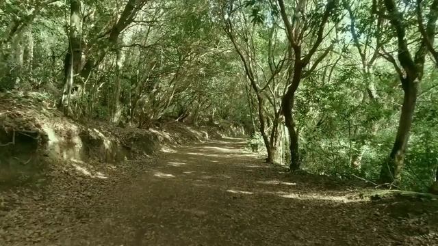 Позволь своему организму расслабиться. Окунуться мир спокойствия и блаженства.