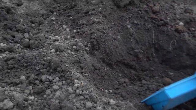 Малыш сажает картофель у себя в саду!!! The kid plants potatoes in his garden!!!! смотреть онлайн