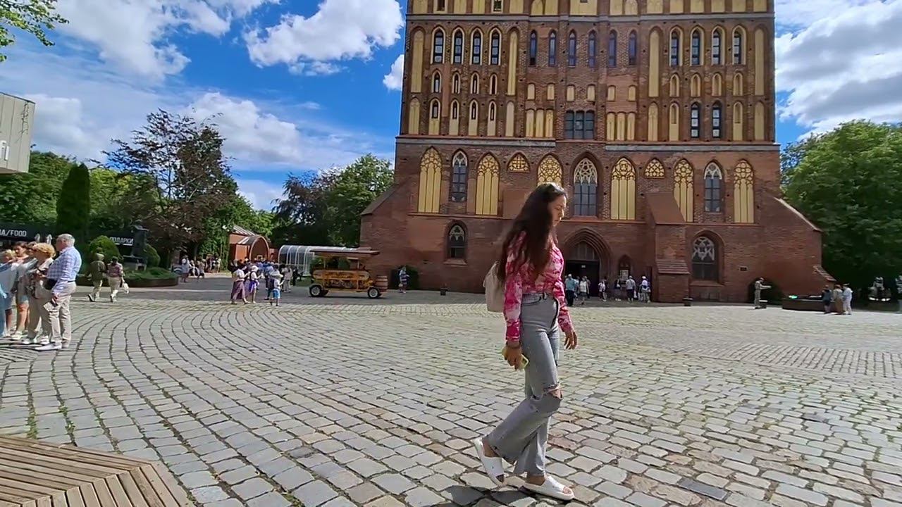 РАЗНЫМИ СЛОВАМИ, НО ОБ ОДНОМ И ТОМ ЖЕ!/ О НАВОЗНЫХ МУХАХ И ПЧЁЛАХ/ СЕРГИЙ АЛИЕВ/ РЕПОСТ! смотреть онлайн