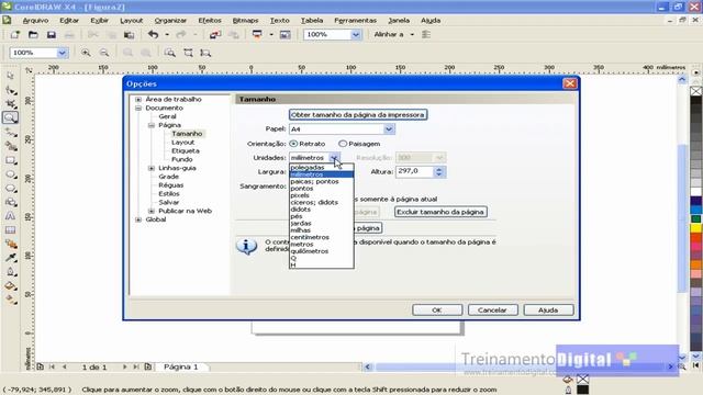 Aula 02 - CorelDraw X4 - Configurar página.mov смотреть онлайн