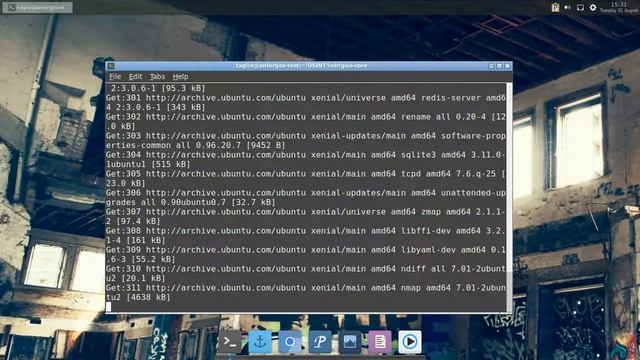 OSINT TOOLS: intrigue.io install on Arch Linux смотреть онлайн