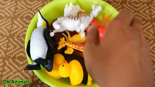 Learning Animals Name in English Hippo Squid Horse Rhino Shark Crab Zebra Octopus Pig Duck Penguin смотреть онлайн