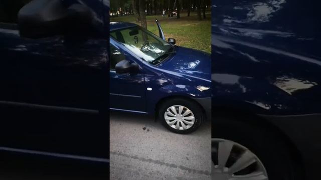 Dacia Logan, 2009р смотреть онлайн