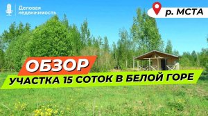 Обзор участка 15 сот | д.Белая Гора | Новгородский район | 2 линия р.Мста