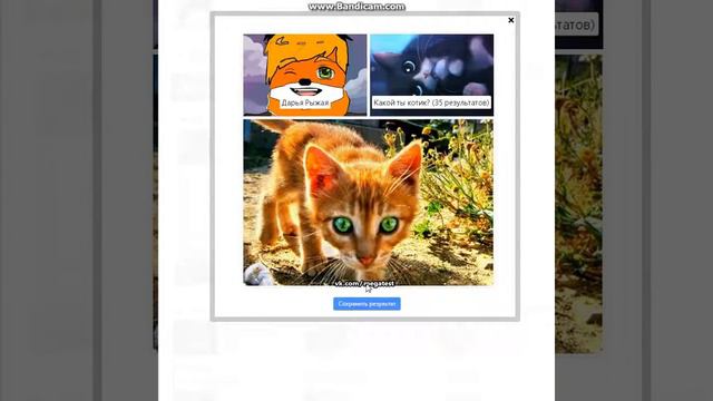 Тест Какой ты? Какой окрас кота? в ВК смотреть онлайн