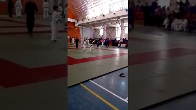 Саревнавание по дзюдо смотреть онлайн