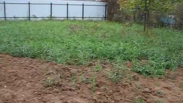 509. Участок с насыпной глиной мокрой смотреть онлайн