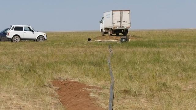 Экибастуз Новости В Сарыкамысе высадили быстрорастущие деревья смотреть онлайн