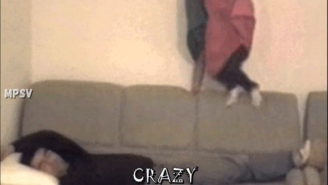 7 "Directed by Robert B Weide" Sound Variations in 60 Seconds смотреть онлайн