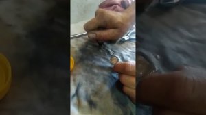 Как прокачать гидрокомпенсатор перед установкой Дэу Ланос