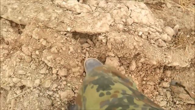 Поиск старины с металлоискателем № 17 Икона смотреть онлайн