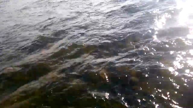 Кое-как, уговорил супругу идти в брод! смотреть онлайн