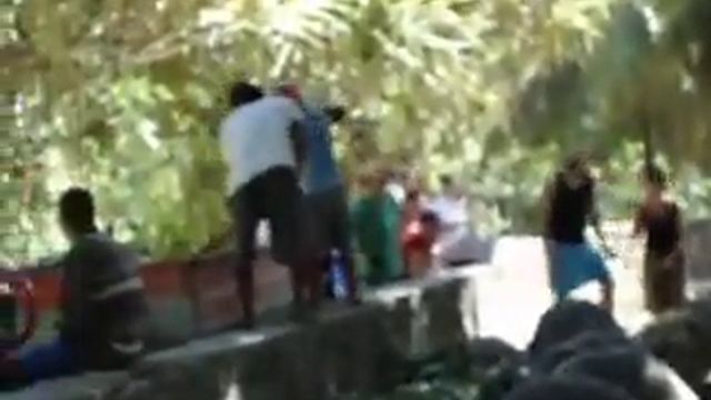 любовь гигантских черепашек))) а им уже по 100-120 лет))) смотреть онлайн