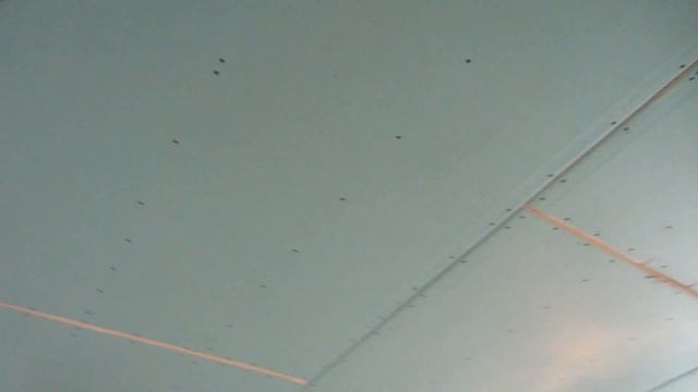 Монтаж гипсокартонного потолка в один уровень + шпаклёвка в 3 слоя + ниша под карниз для штор! смотреть онлайн
