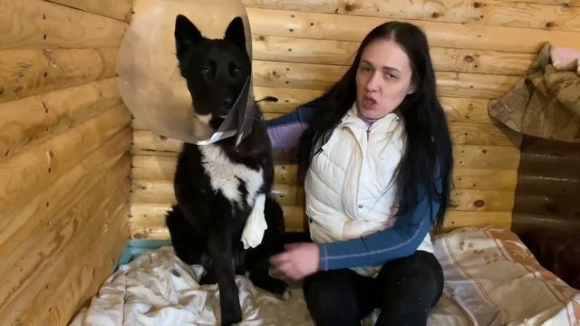 БОЛЬ, НЕНУЖНОСТЬ, ПОБОИ, ПРЕДАТЕЛЬСТВО - ОН ВИДЕЛ ТОЛЬКО ЭТО … ПОМОГИТЕ ДРУЖКУ смотреть онлайн