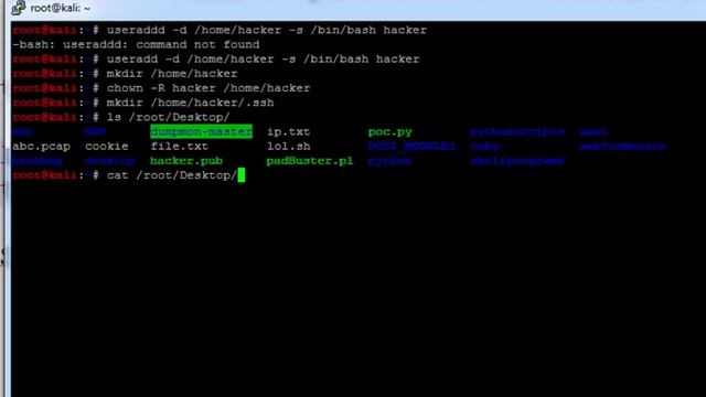 Bash Shellshock "ssh" exploit - Tutorial (POC) смотреть онлайн
