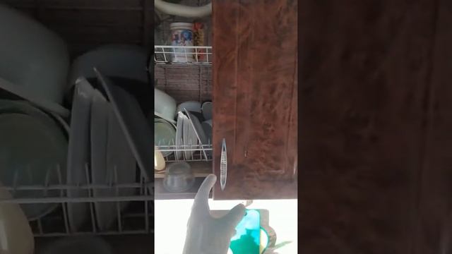 Гнездо тараканов ФСД Рагнар смотреть онлайн