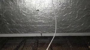 Дезинфекция брудера для цыплят(и не только)