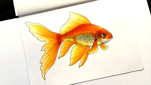Copic markers speed drawing #2 / Рисую маркерами Copic золотую рыбку смотреть онлайн