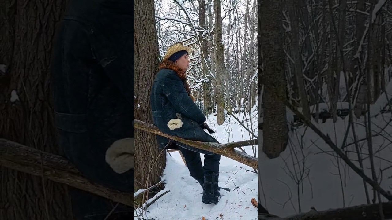 Стул в лесу, просто и быстро! #survival #bushcraft #выживание #knife #бушкрафт #forest смотреть онлайн