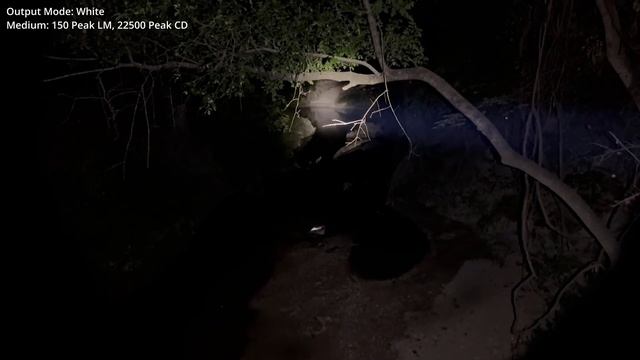 CYANSKY H5GT Hunting Flashlight Review And Field Test смотреть онлайн