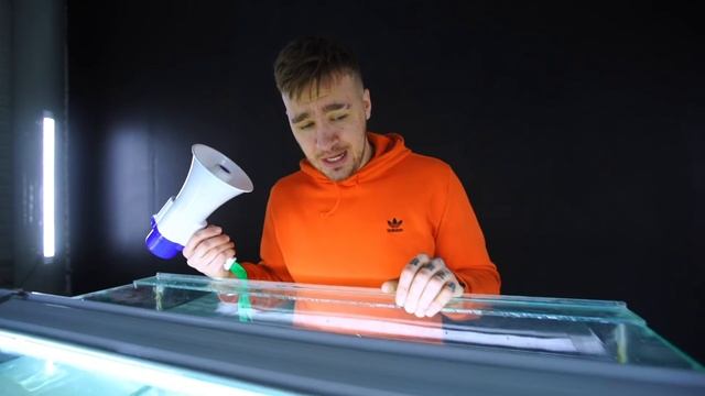 ЧТО, ЕСЛИ ГРОМКИЙ ГУДОК ВКЛЮЧИТЬ ПОД ВОДОЙ? смотреть онлайн