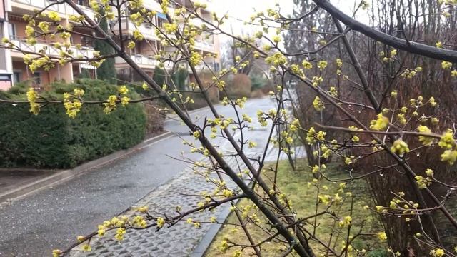 Перед Пасхой. Весенние картинки. смотреть онлайн