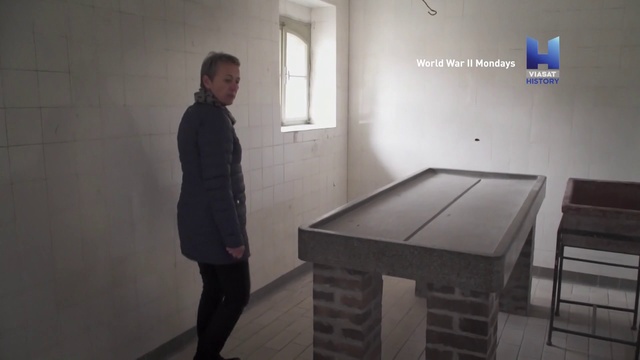 Арллибертл смотреть онлайн