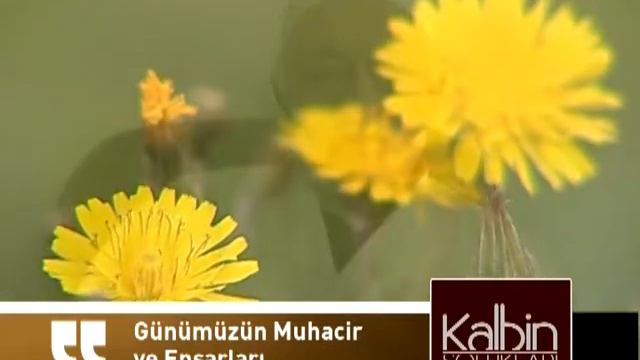 15 Gunumuzun muhacir ve ensarlari 03 02 2006 смотреть онлайн