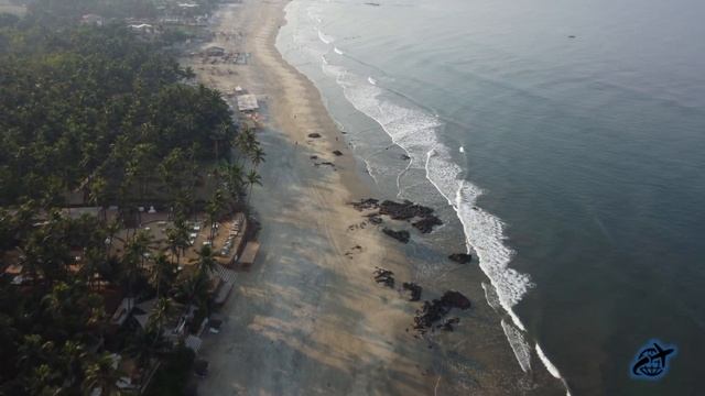 GOA. Десять мгновений весны. Пляж Морджим с высоты птичьего полёта. смотреть онлайн