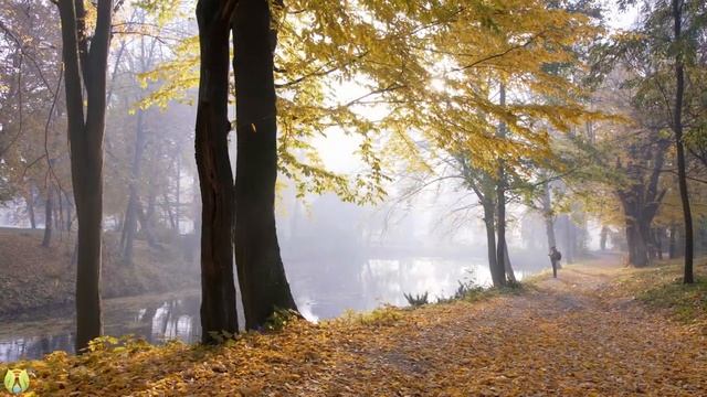 Enchanting Autumn Forests With Beautiful Piano Music?4K Autumn Ambience & Fall Foliage