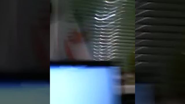 Как скачать симс 2 смотреть онлайн