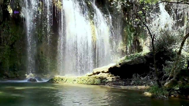 Slow Relaxing Clarinet Music смотреть онлайн