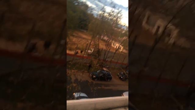 Вырубка леса в Москве смотреть онлайн